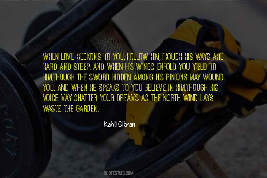 Follow The Dreams Quotes #834412