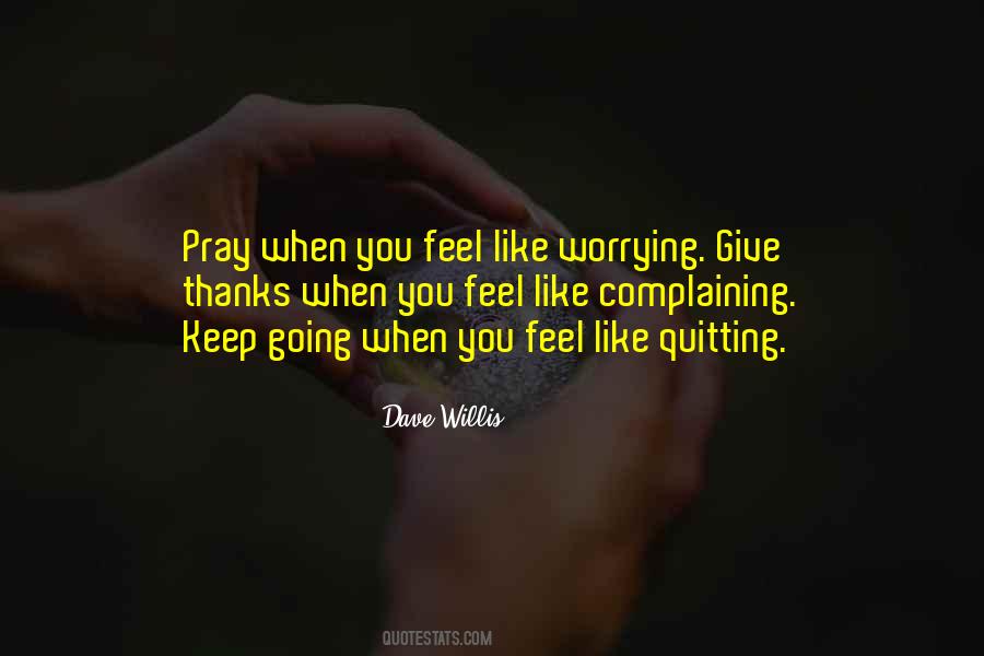 Sometimes I Feel Like Quitting Quotes #125253