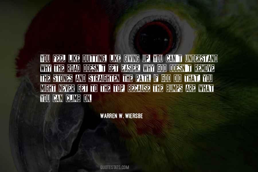 Sometimes I Feel Like Quitting Quotes #1555264