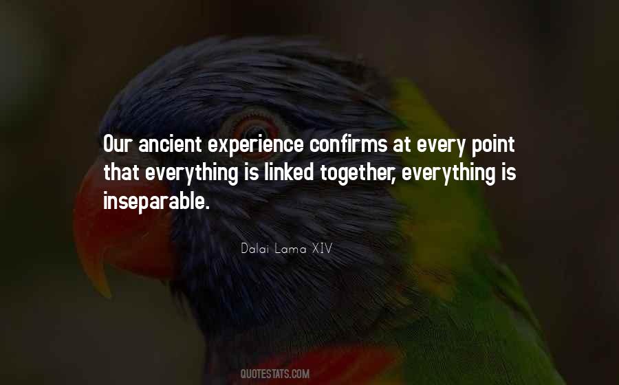Experience Is Everything Quotes #1486059