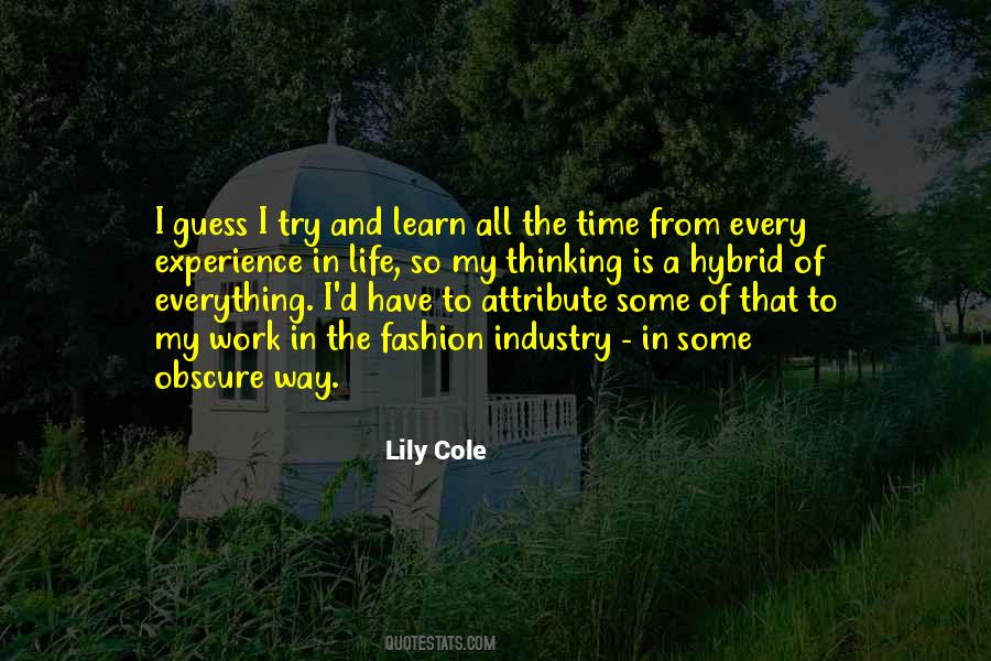 Experience Is Everything Quotes #1727912