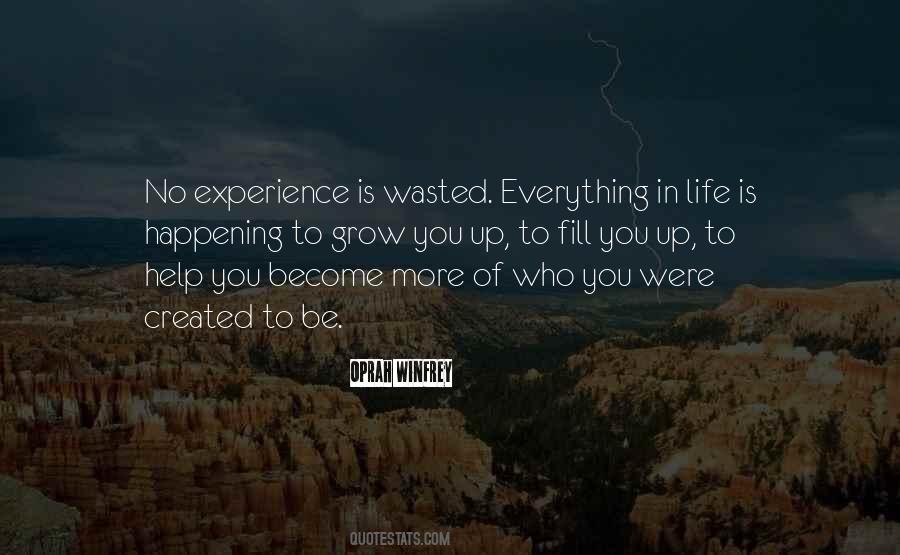 Experience Is Everything Quotes #774585