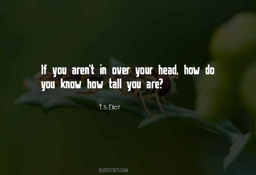 Quotes About Coping Up With Challenges #1375636