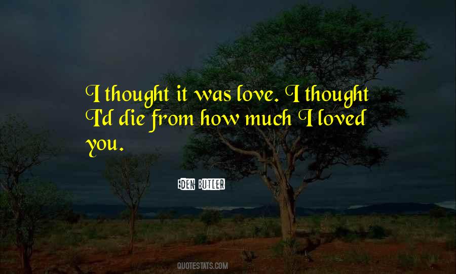 How Much I Loved You Quotes #741798