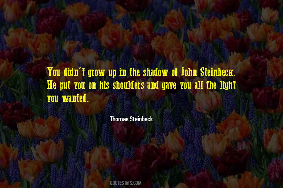 In The Shadow Quotes #1056359