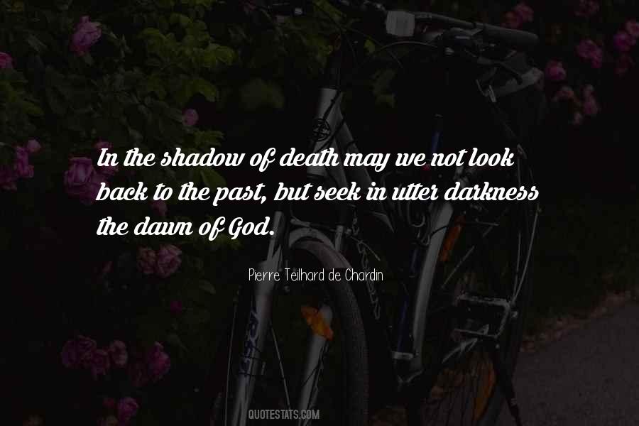 In The Shadow Quotes #1500170
