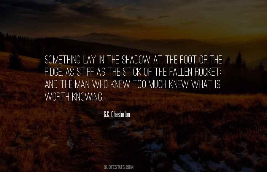 In The Shadow Quotes #1779924