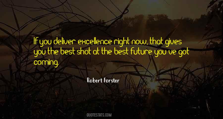 Deliver Excellence Quotes #315865