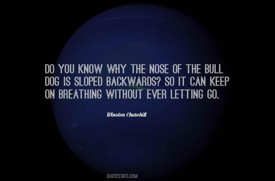 The Bull Quotes #1146059