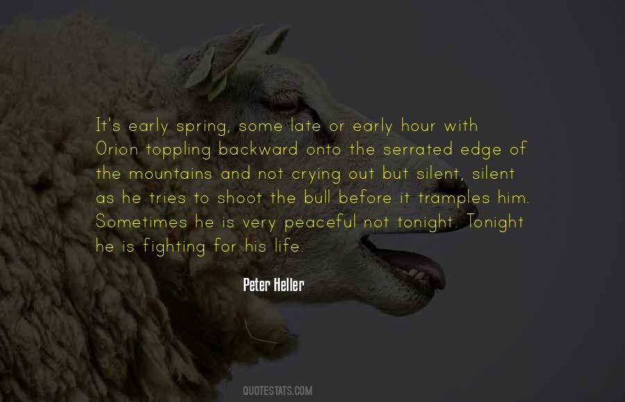 The Bull Quotes #228464
