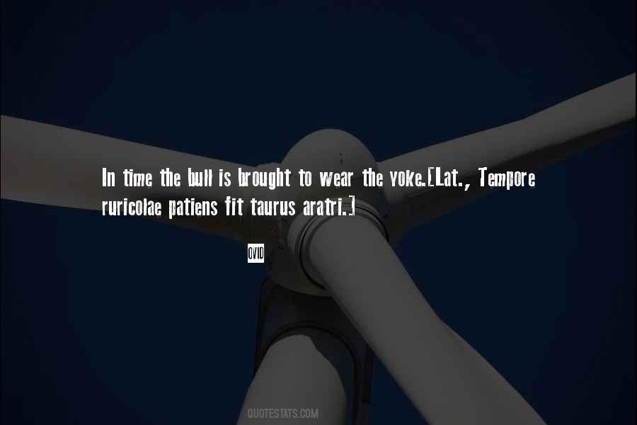 The Bull Quotes #484169
