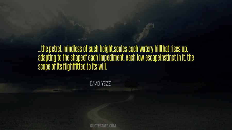 David C Hill Quotes #275177