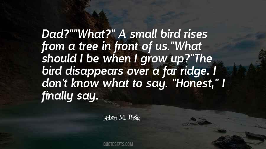 Small Bird Quotes #1143430