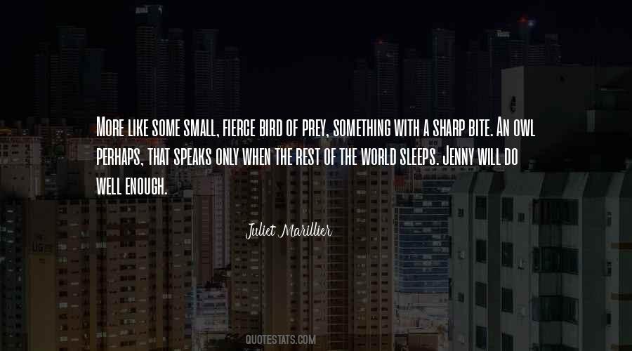 Small Bird Quotes #1317592