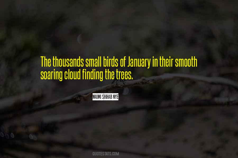 Small Bird Quotes #612345