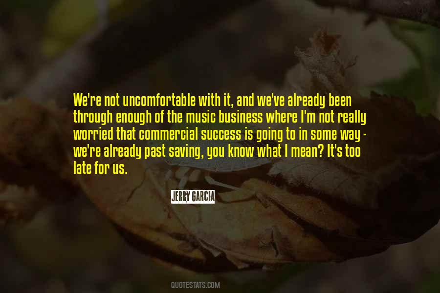 Success Is For You Quotes #661477