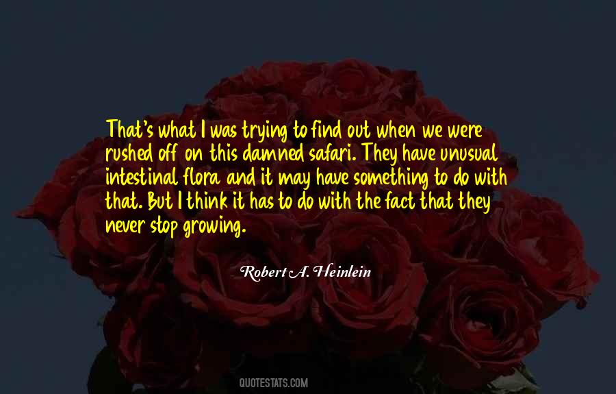 We Do What We Have To Do Quotes #147532