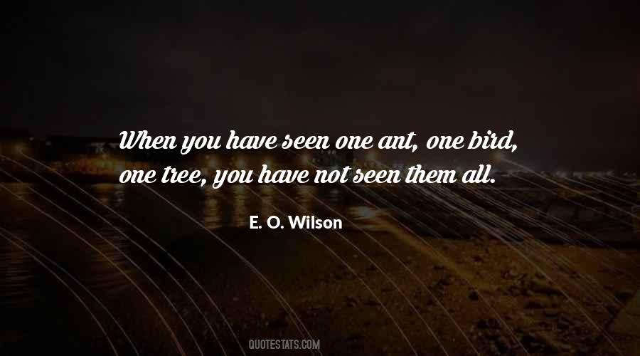 Bird Nature Quotes #1459597