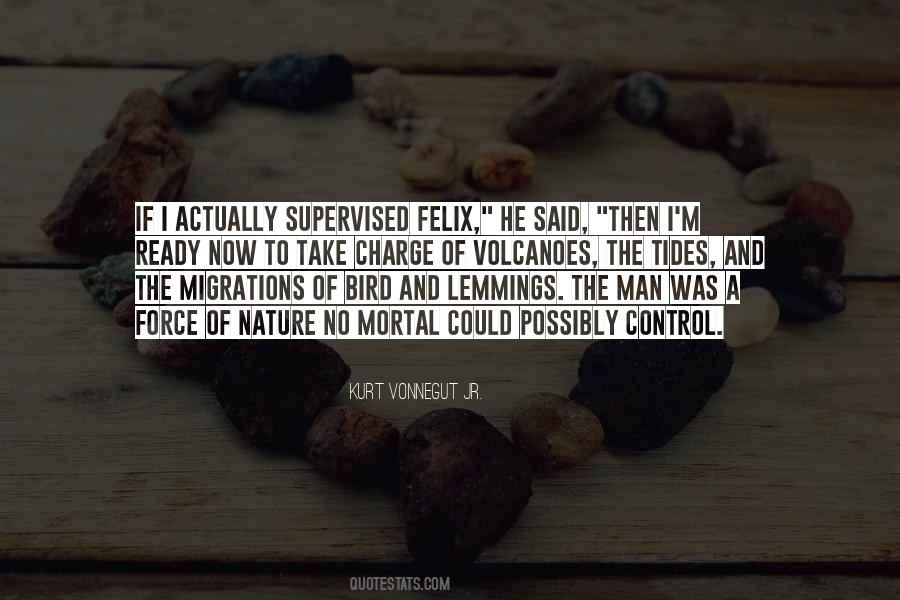 Bird Nature Quotes #920487