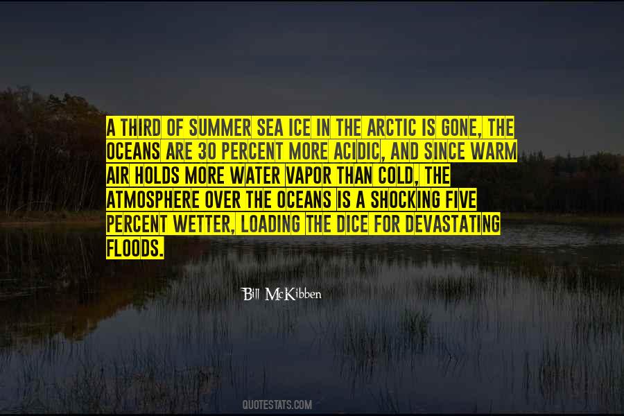 Ocean Summer Quotes #1661390