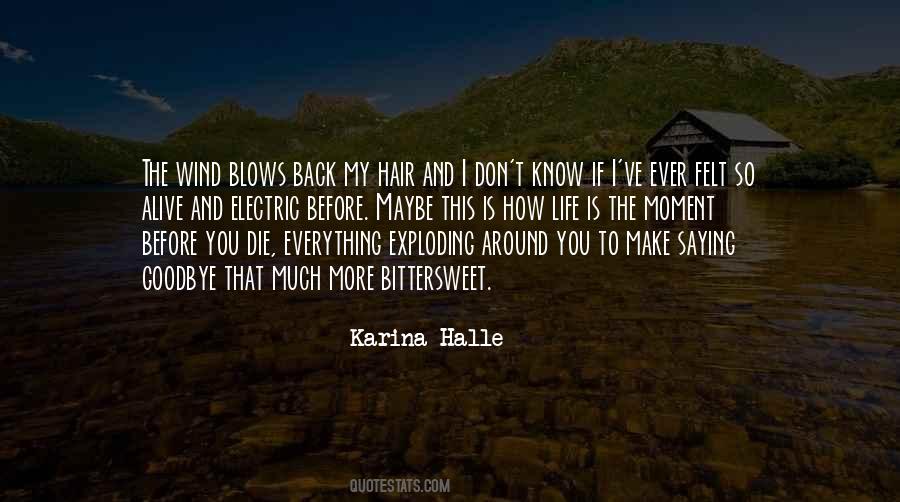 Goodbye Is Goodbye Quotes #1839970