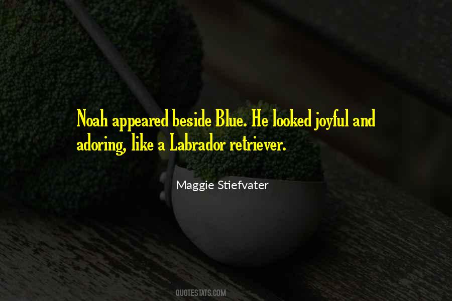 Noah What Do You Want Quotes #25252