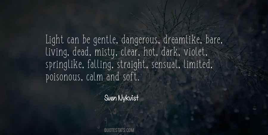 Soft And Dangerous Quotes #790502