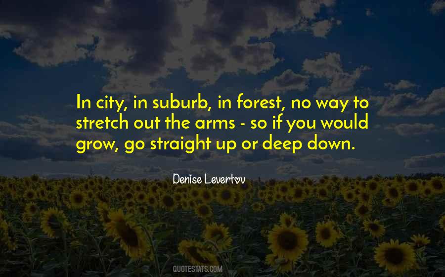 Forest In The City Quotes #33092