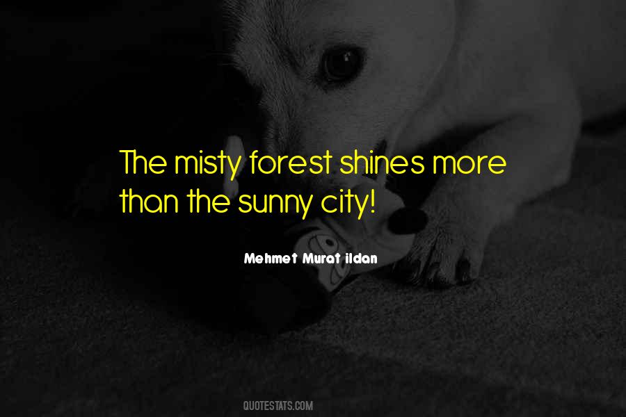 Forest In The City Quotes #947670