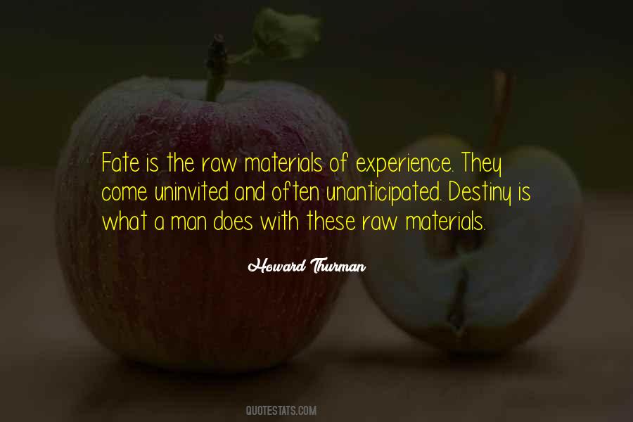 Quotes About What Destiny Is #131466