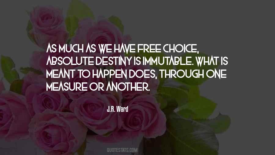 Quotes About What Destiny Is #1466345