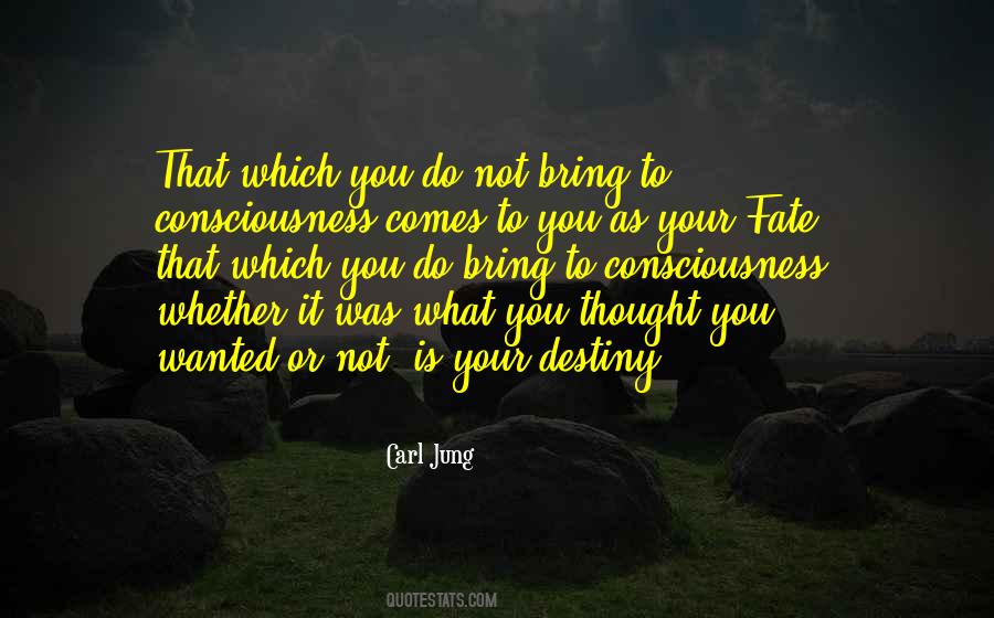 Quotes About What Destiny Is #365368