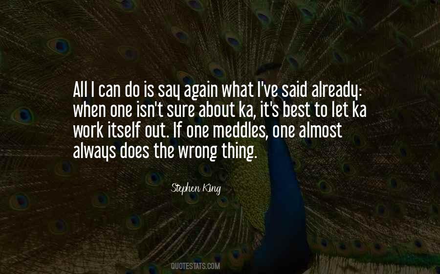I Do The Best I Can Quotes #996269