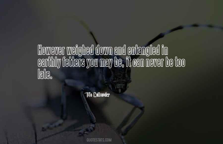 Nothing Is Never Too Late Quotes #77230