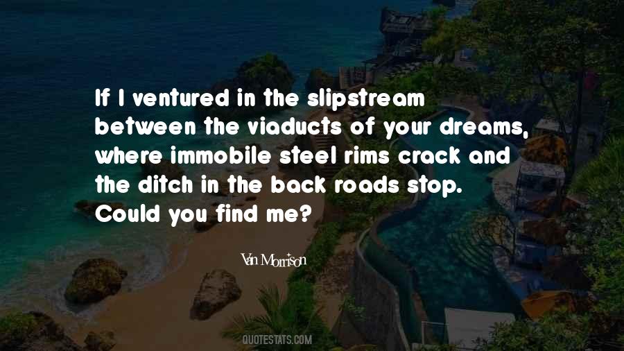 If I Could Dream Quotes #433896