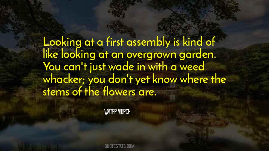 Where Are You Looking Quotes #1817143