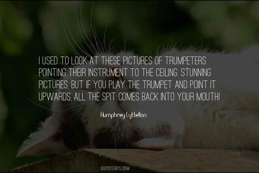 If It Comes Back Quotes #329597