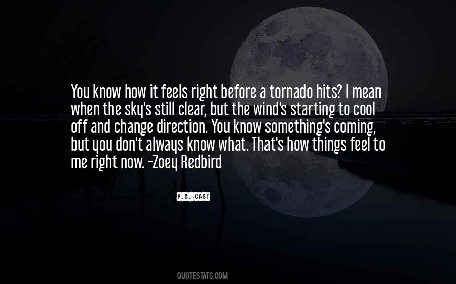 Quotes About A Tornado #1415538