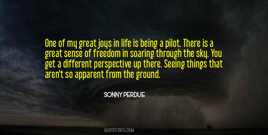 Life From A Different Perspective Quotes #801870