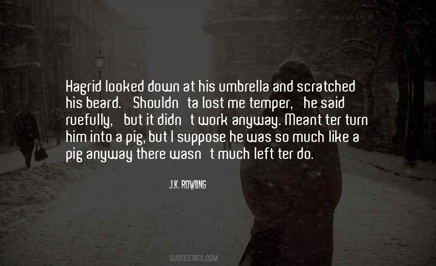 I Like Him So Much Quotes #776412