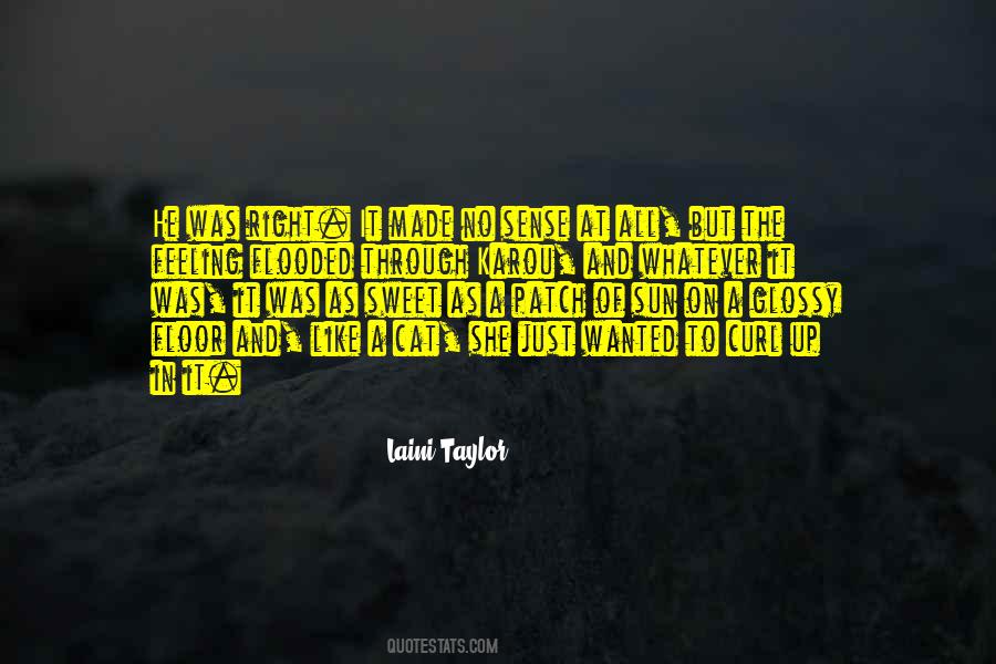 She Was Like The Sun Quotes #650449