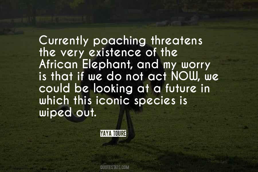 Looking At The Future Quotes #1364136