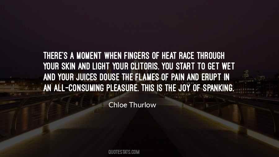 Pain Joy Quotes #1244245