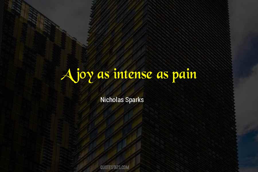 Pain Joy Quotes #1264738