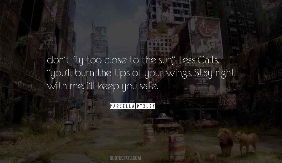 Fly Too Close To The Sun Quotes #1304354