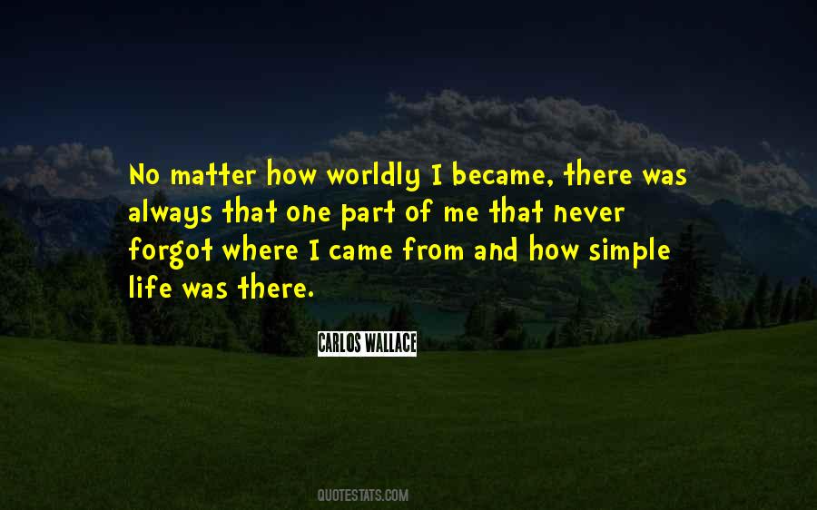 Simple Things Matter The Most Quotes #1423252