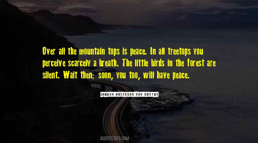 Have Peace Quotes #901450