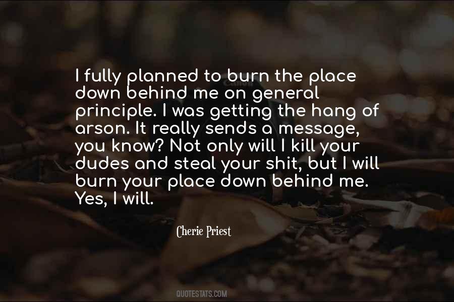 Burn It Down Quotes #741787