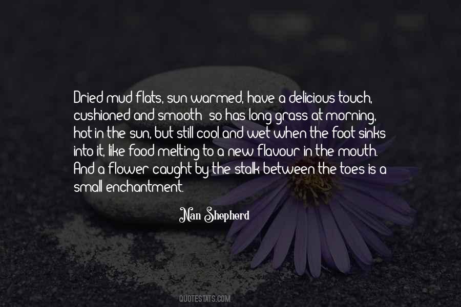 Cool Sun Quotes #1773342