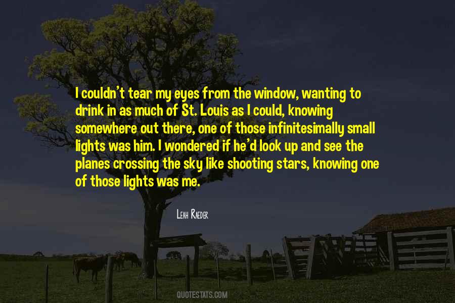 Look Outside The Window Quotes #35895